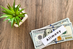 payments alimony